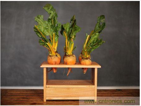 害怕圣誕節(jié)沒創(chuàng)意?看看發(fā)燒友們?cè)趺催^圣誕