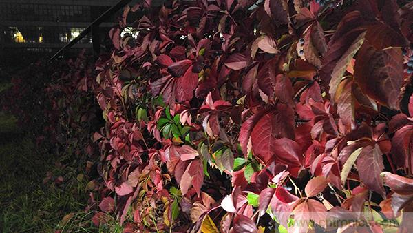 業界良心 LG V10 評測:剛毅、冷峻，不失人性化