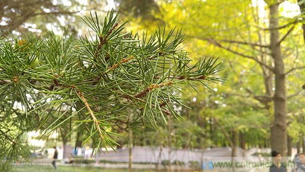 業界良心 LG V10 評測:剛毅、冷峻，不失人性化