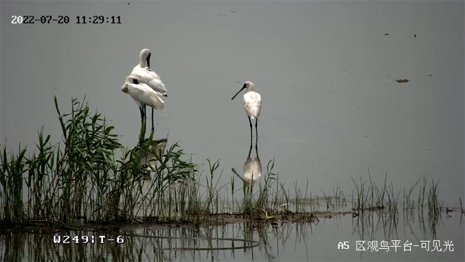 海康威視發布2022年ESG報告:科技為善,助力可持續的美好未來 海康威視發布2022年ESG報告:科技為善,助力可持續的美好未來