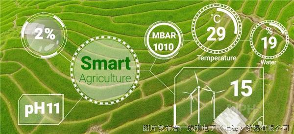 智慧農(nóng)業(yè)大有可為，“數(shù)字種地”更輕松